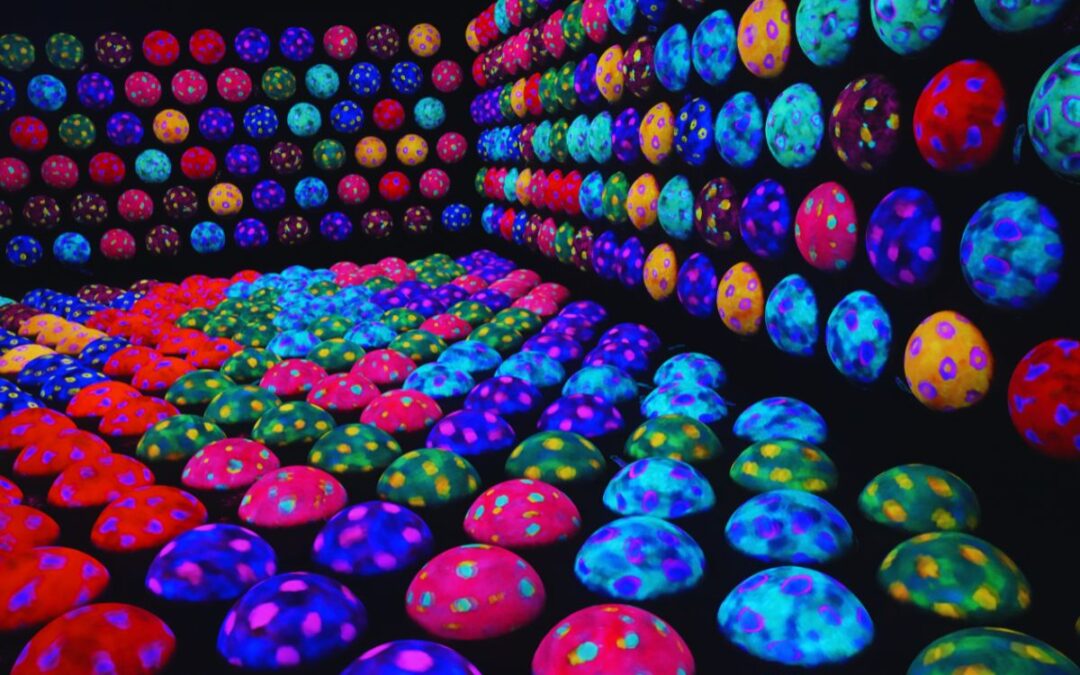 Brand New teamLab BioVortex Kyoto: Everything to Know