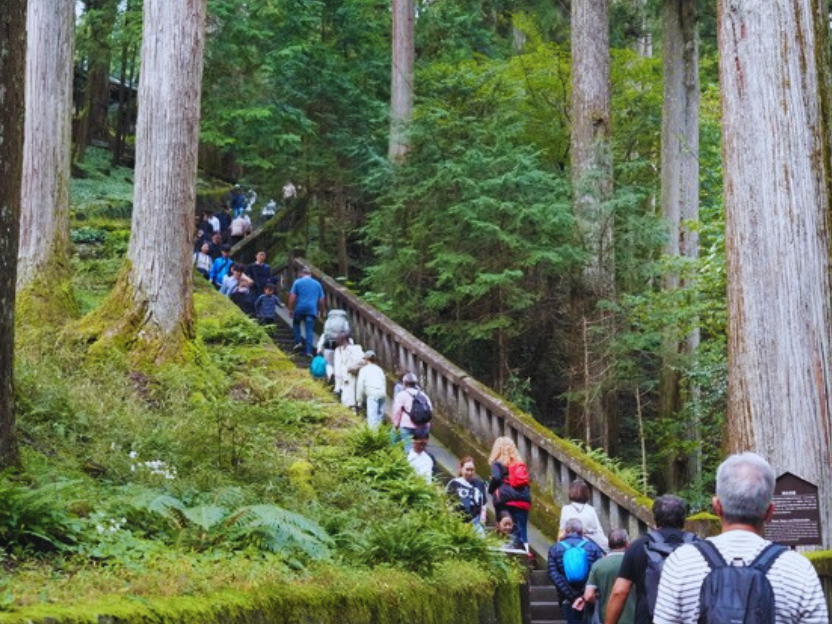 Flip Japan photo of the stairs leading to Tokugawa Mausoleum at the Toshogu Shrine in Nikko