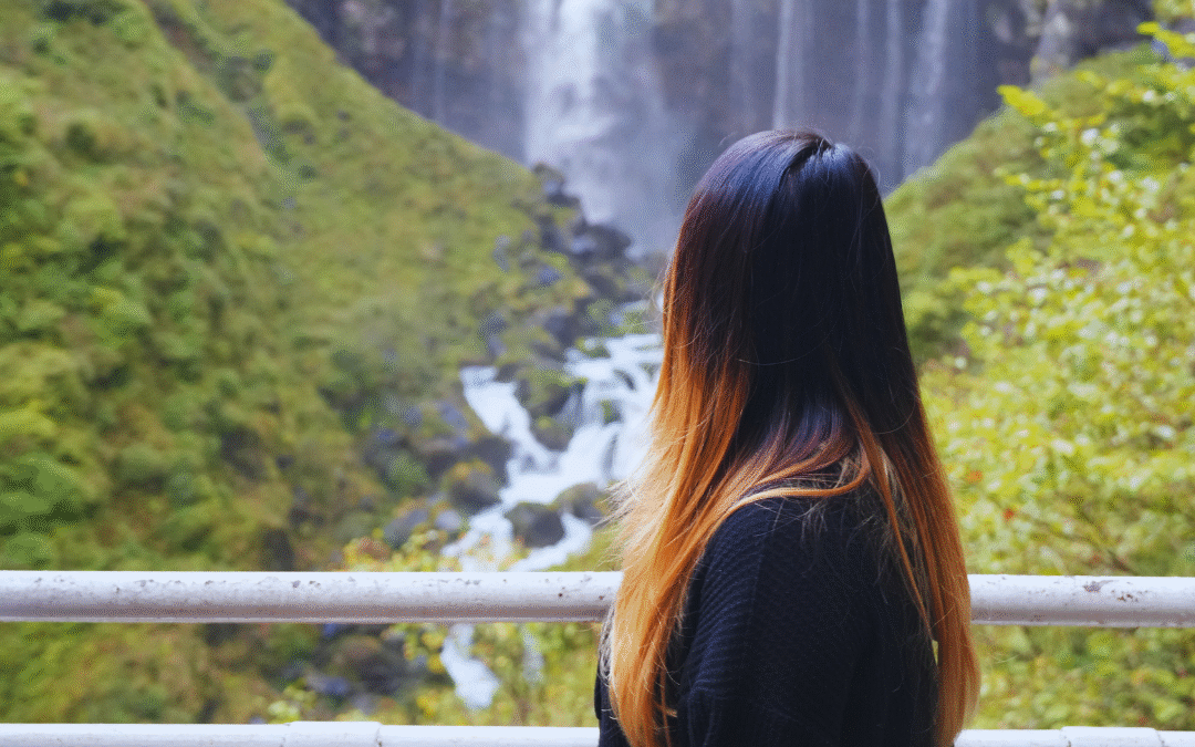 Nikko Pass All Area vs. World Heritage: Which One Should You Buy?