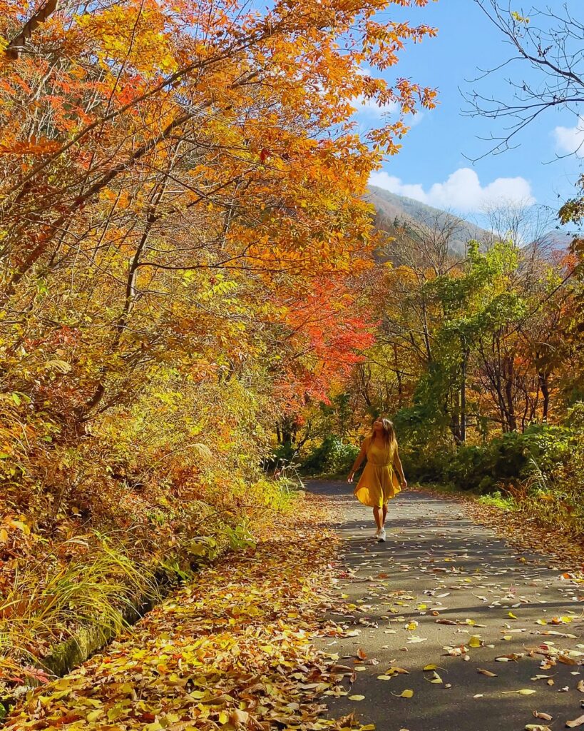 Flip Japan photo of a woman in a yellow dress walking down a path covered in autumn leaves and red and yellow leaved trees above