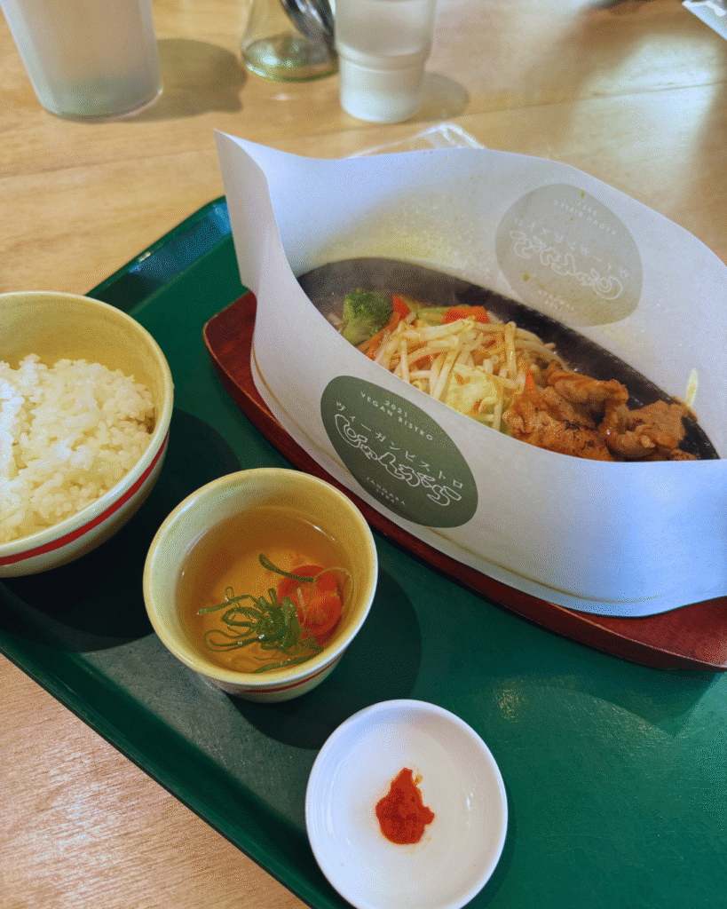 Flip Japan photo of a vegan noodle meal in Japan