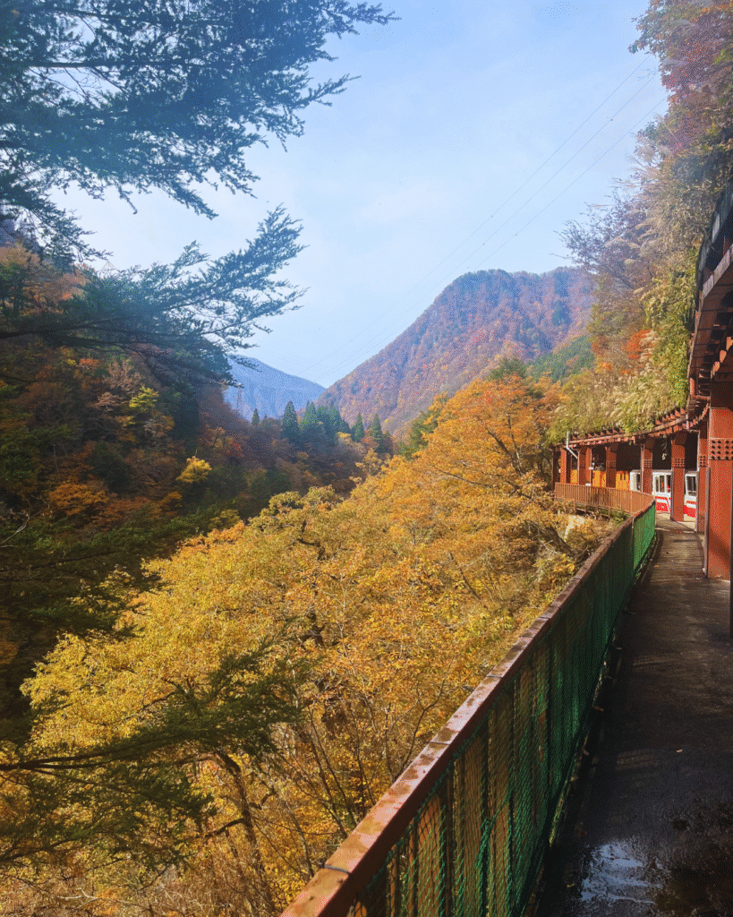 Photo of the scenic autumn views of kurobe gorge with the scenic railway on the right hand side