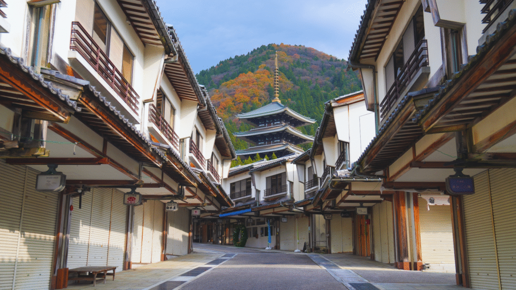 Flip Japan photo of the road in Echizen Daibutsu, Fukui with a pagoda in the background in front of a mountain