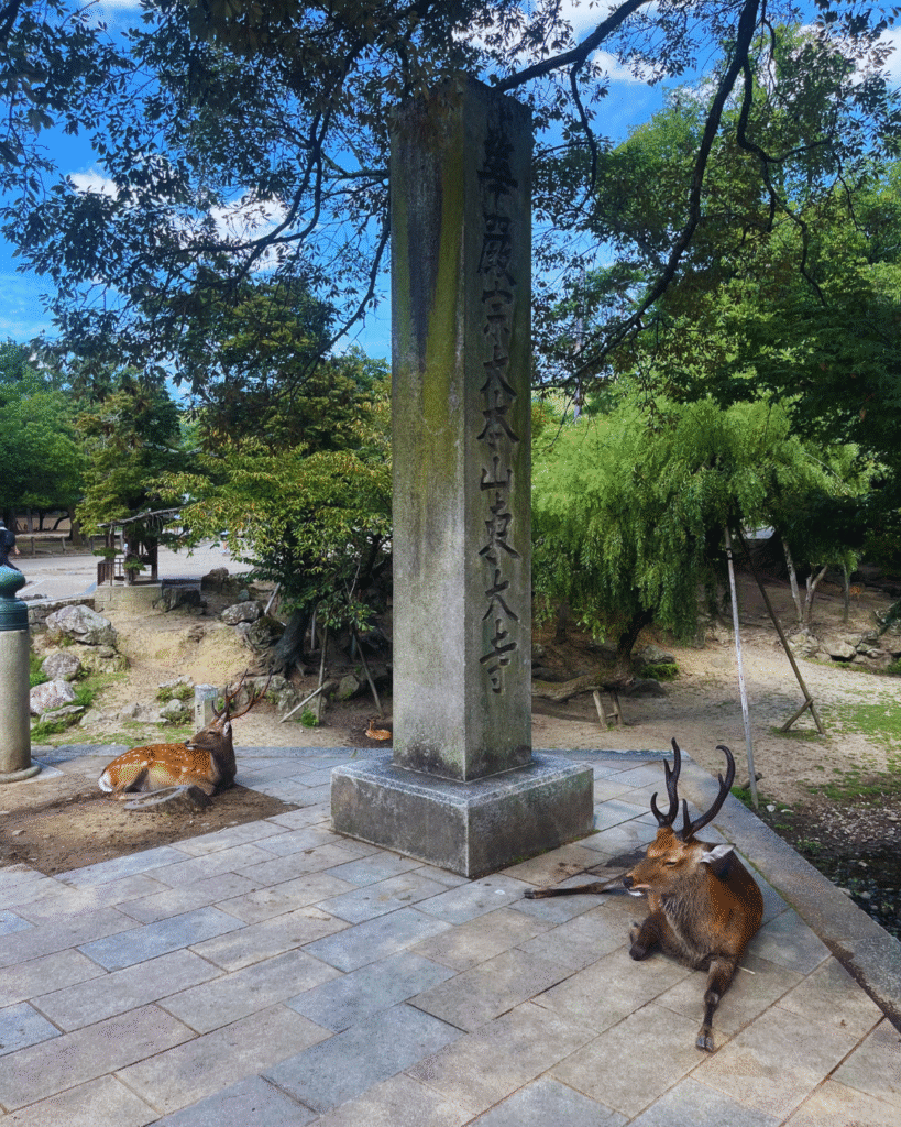 Flip Japan photo of two deer sitting next to a stone monument in the ancient Japanese city of Nara