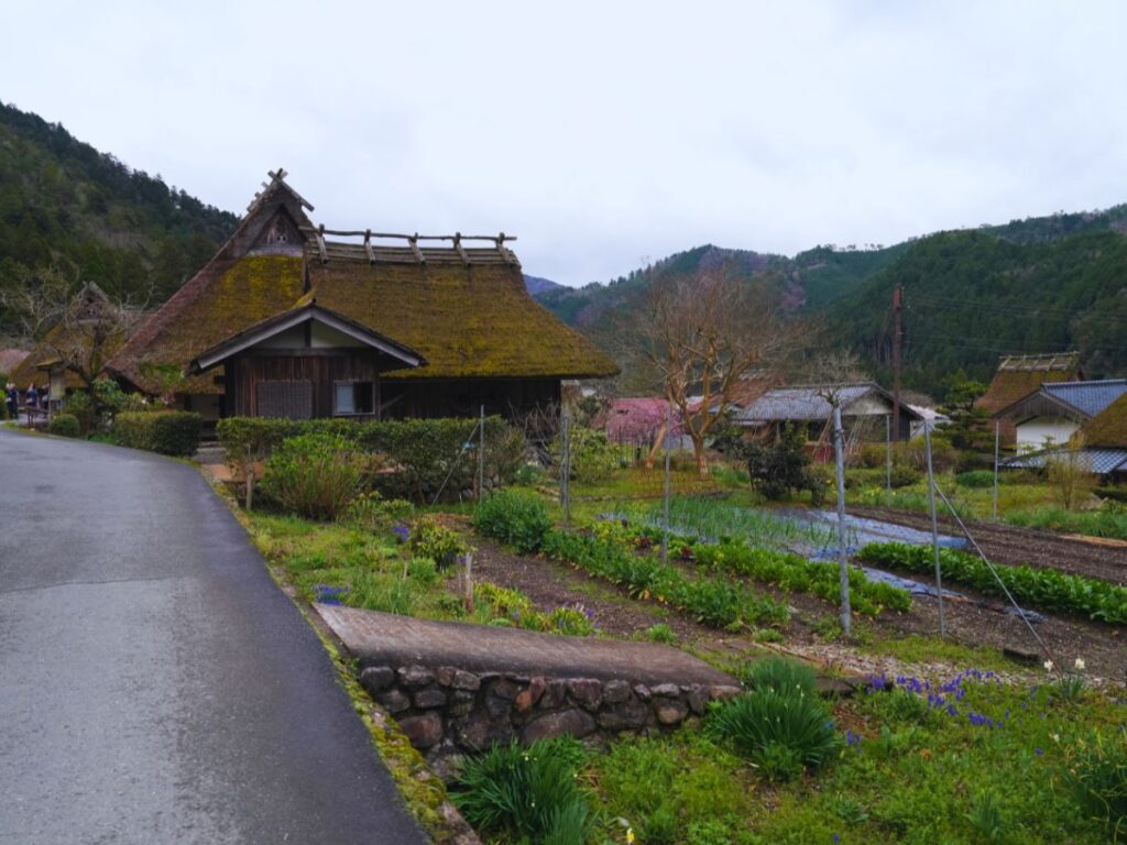 Guide to Miyama Kayabuki no Sato for a Nature-Focused Japan Trip