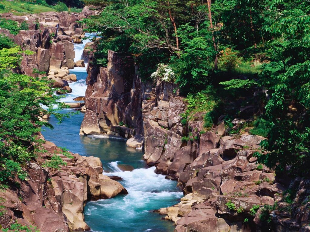 Iwate Prefecture Guide (Genbikei)