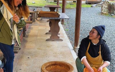 Mochitsuki: Trying an Authentic Mochi Pounding Experience in Japan