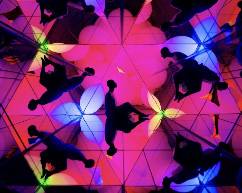 teamLab Forest (Credit: teamLab Forest)