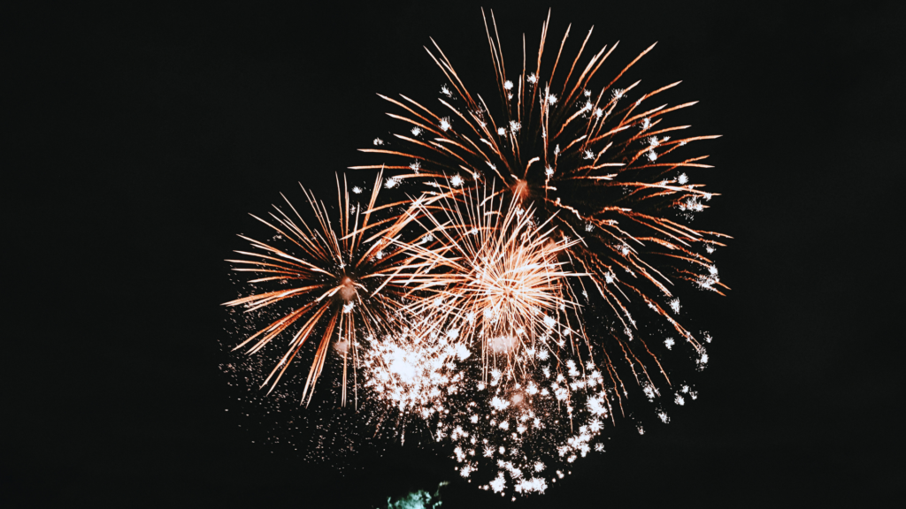 Photo of New Year's fireworks going off in the nightsky