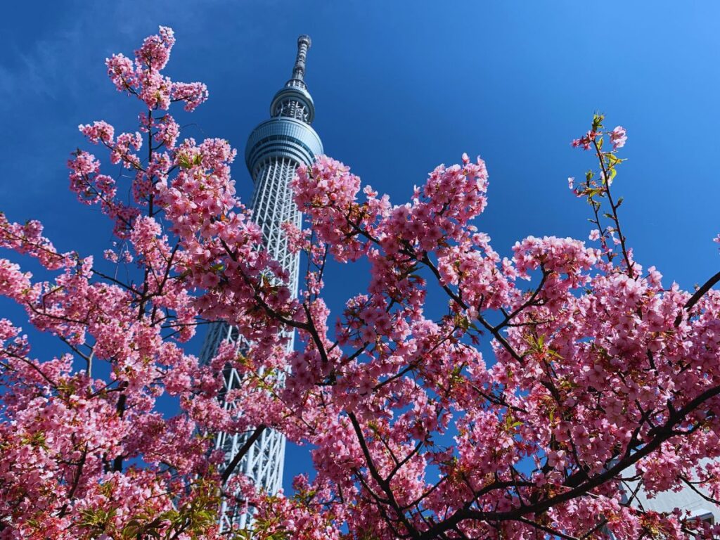 Tokyo Skytree review (Photo property of Flip Japan)