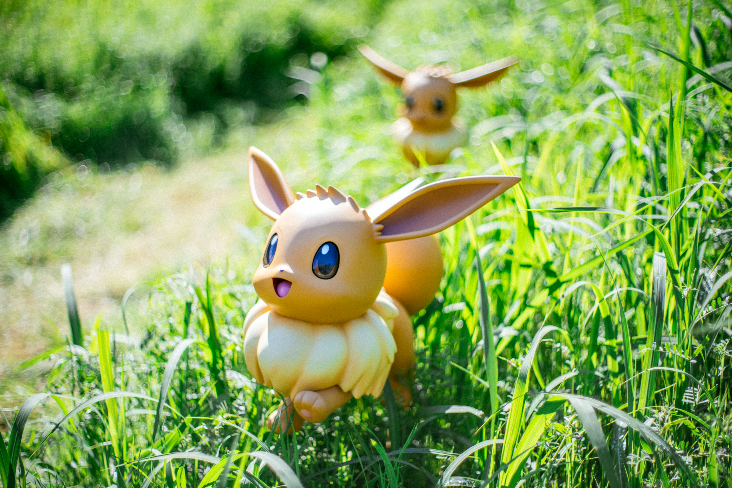 Photo of Evee in the Pokémon Forest