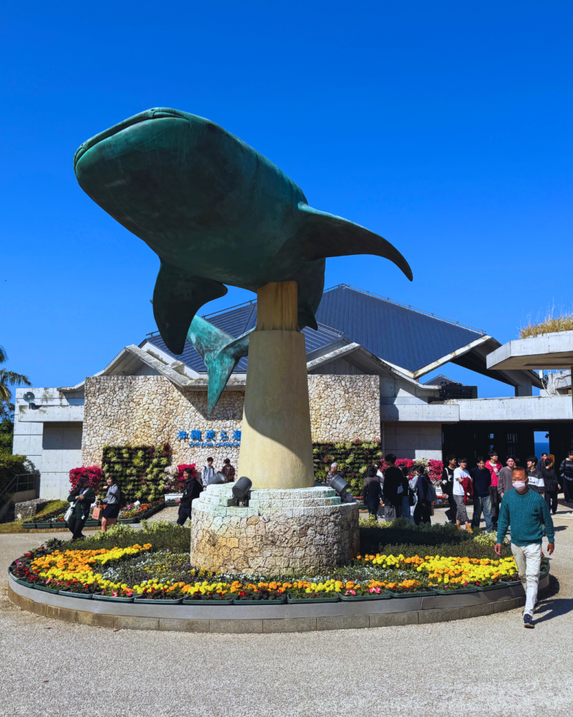 Flip Japan photo of a whale shark statue in Okinawa Island