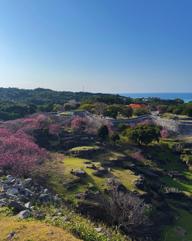 Flip Japan photo of a view of cherry blossoms and the ocean in Okinawa