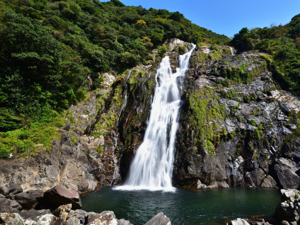 Yakushima (an off-the-beaten-path Japan destination)