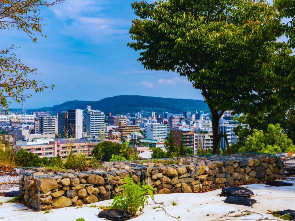 Kumamoto Guide & Best Things to Do in Kumamoto