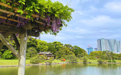 Complete Guide to MICE Venues in Japan: Castles, Aquariums, and Ancient Temples