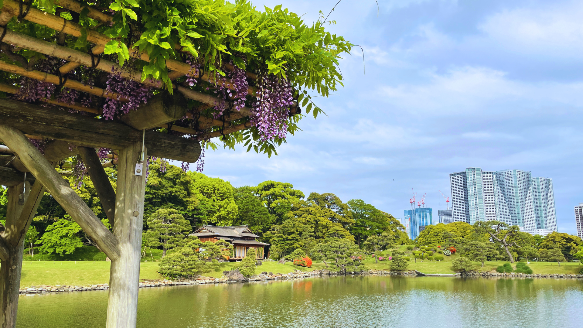 Flip Japan photo of Hamarikyu Gardens in Tokyo for Flip Japan's Guide to MICE Venues