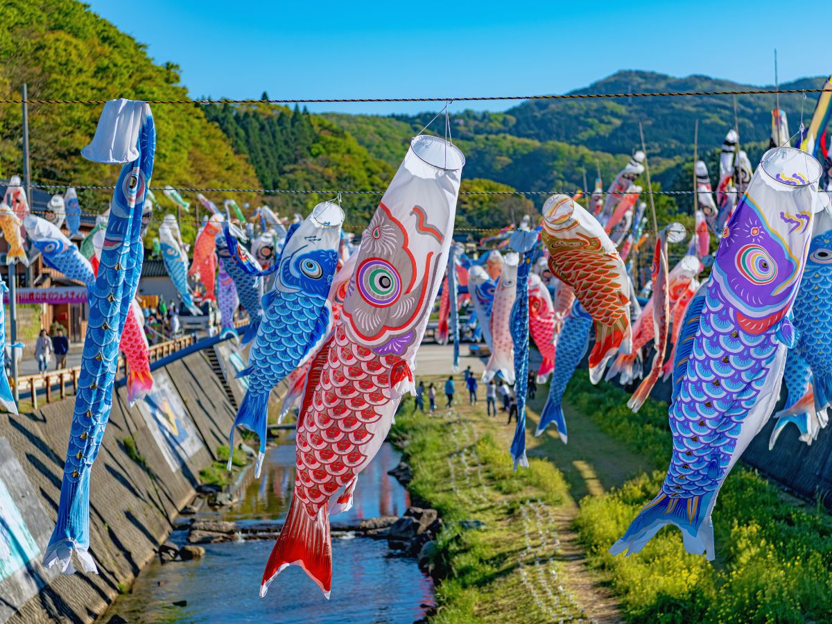 Colorful koinobori carp streamers flying over the Sagami River in Kanagawa, a famous sight during Golden Week in Japan