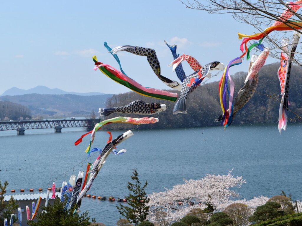 Colorful koinobori carp streamers flying over the Sagami River in Kanagawa, a famous sight during Golden Week in Japan