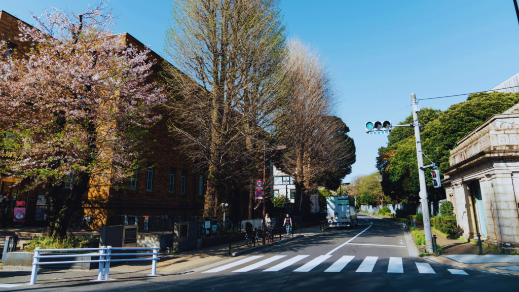 Photo of a tree-lined road in Japan with a green traffic sign
