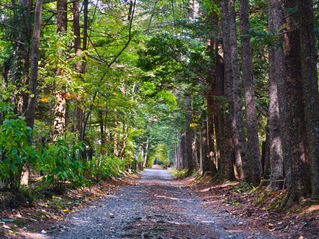 Best Things to Do in Karuizawa, Japan’s Upscale Mountain Town
