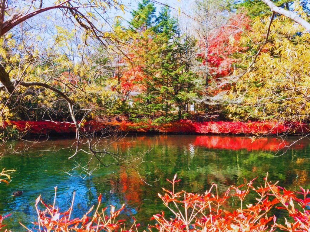 Best Things to Do in Karuizawa, Japan’s Upscale Mountain Town