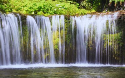 Best Things to Do in Karuizawa, Japan’s Upscale Mountain Town