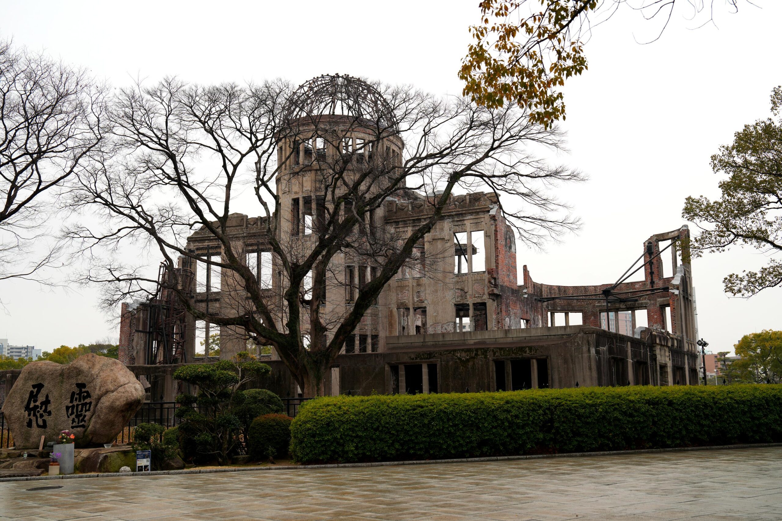 29 Best Winter illuminations in Japan Hiroshima Drimination 2022