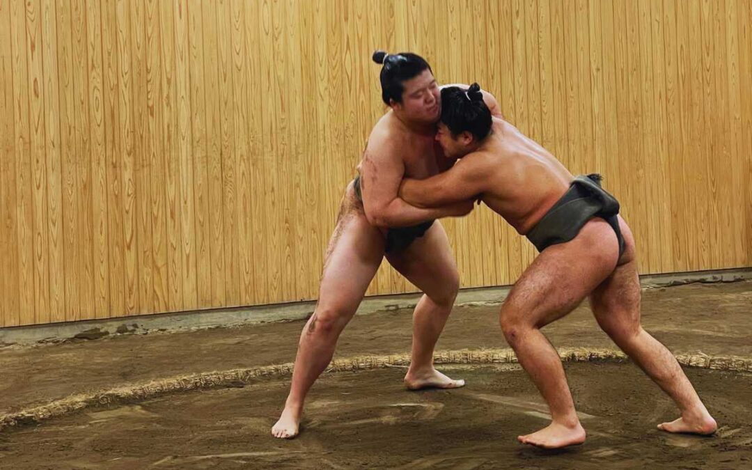 Sumo Morning Practice in Tokyo: What It Is, How to Book, and More!