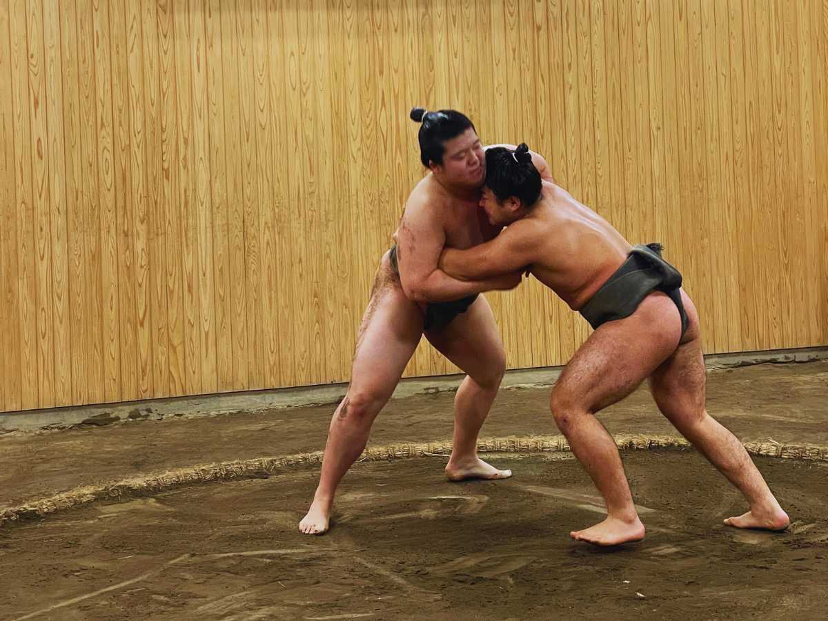 Sumo Morning Practice in Tokyo: What It Is, What to Expect, and More!
