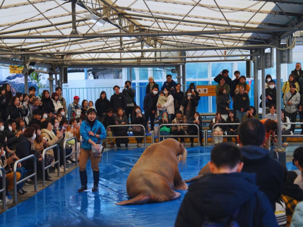 The Ultimate Mie Area Guide & 3-Day Itinerary Toba Aquarium (Toba) (photo property of Flip Japan)