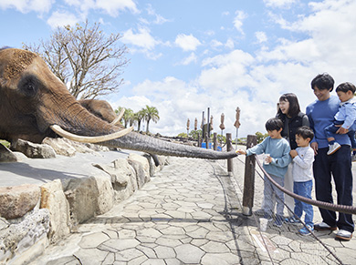 Best Zoos in Japan: Playing with Elephants at Adventure World (Credit: Adventure World)