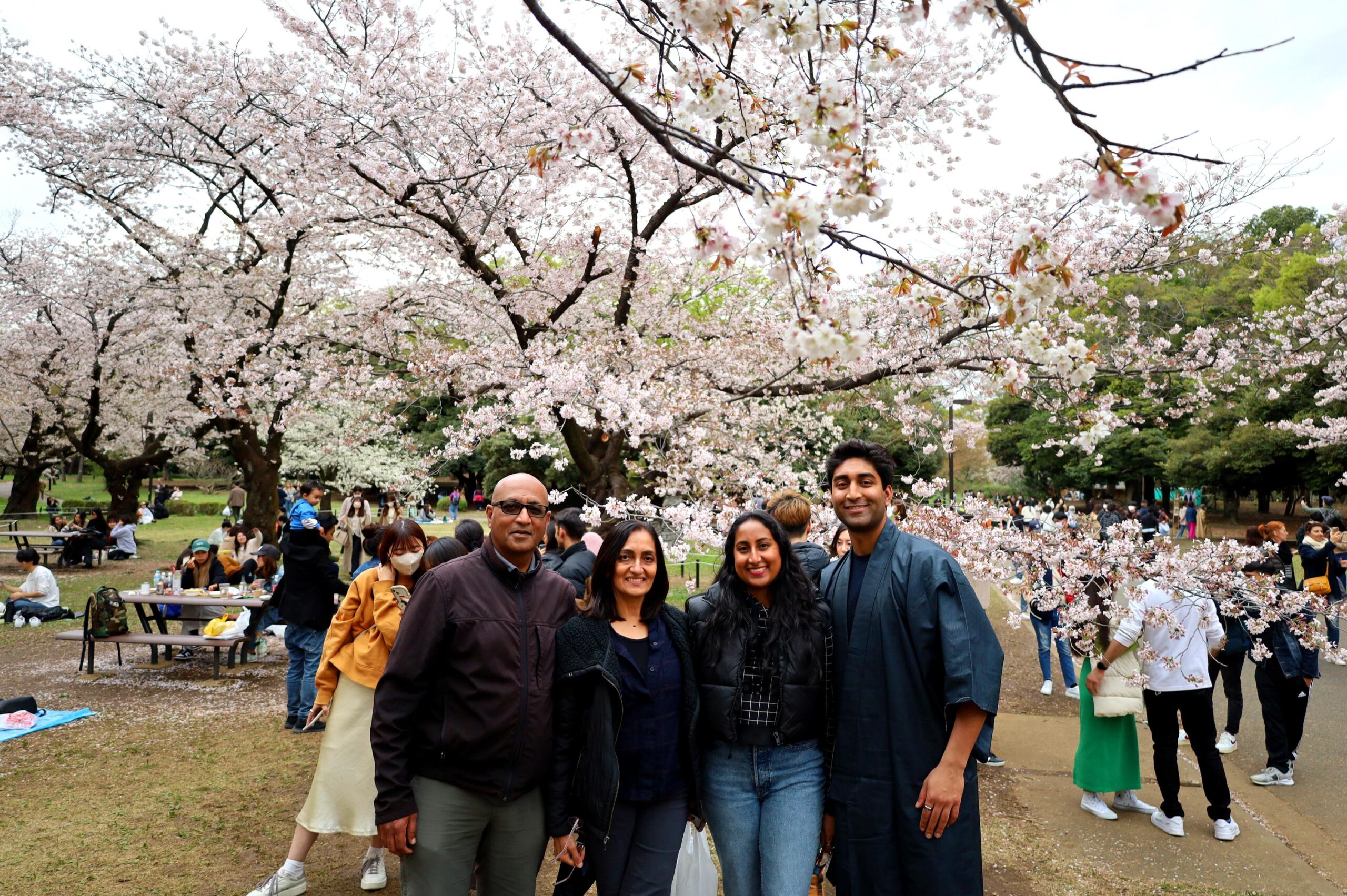 Tokyo customised tour _2