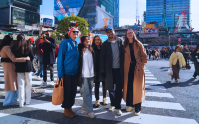 Japan Guided Tour or Plan It Yourself? My Recommendations…