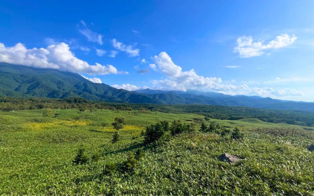 Our 7-Day Hokkaido Summer Itinerary for the Ultimate Road Trip