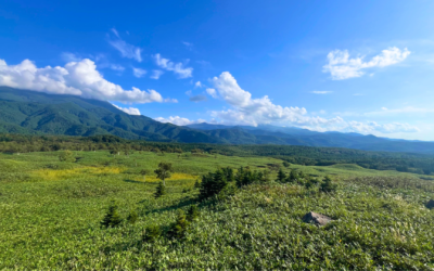 Our 7-Day Hokkaido Summer Itinerary for the Ultimate Road Trip