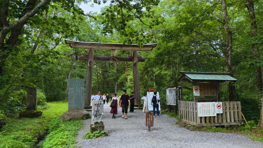Flip Japan photo of a troii gate in the forest around Nagano
