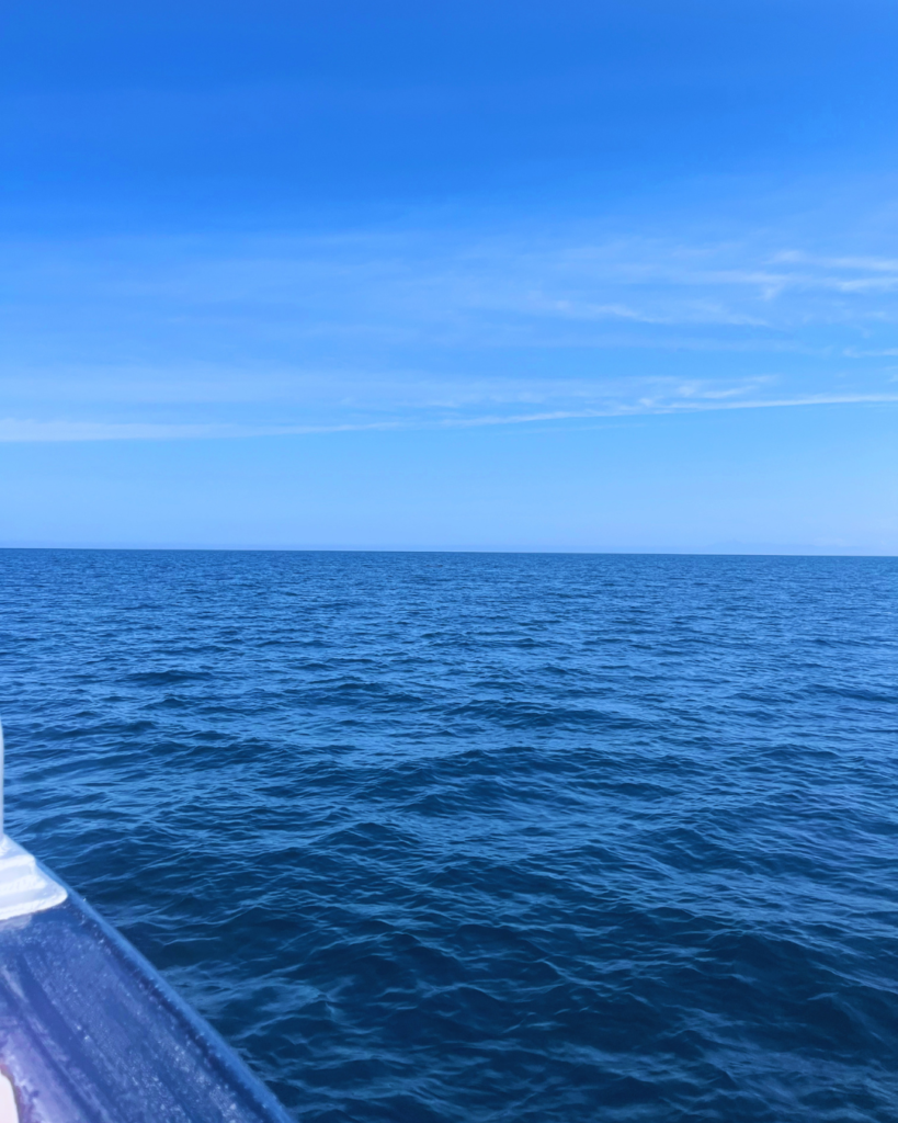Flip Japan photo of the ocean from a boat on a nature cruise in Rausu