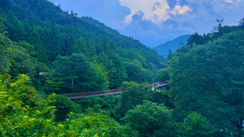 Flip Japan photo of the view in Okutama of forested hills with a bridge crossing the gorge