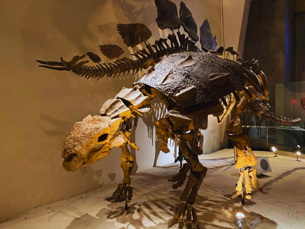 Japan Museums for Kids: 10 Local Picks Worth the Trip