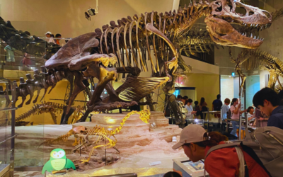 Japan Museums for Kids: 10 Local Picks Worth the Trip