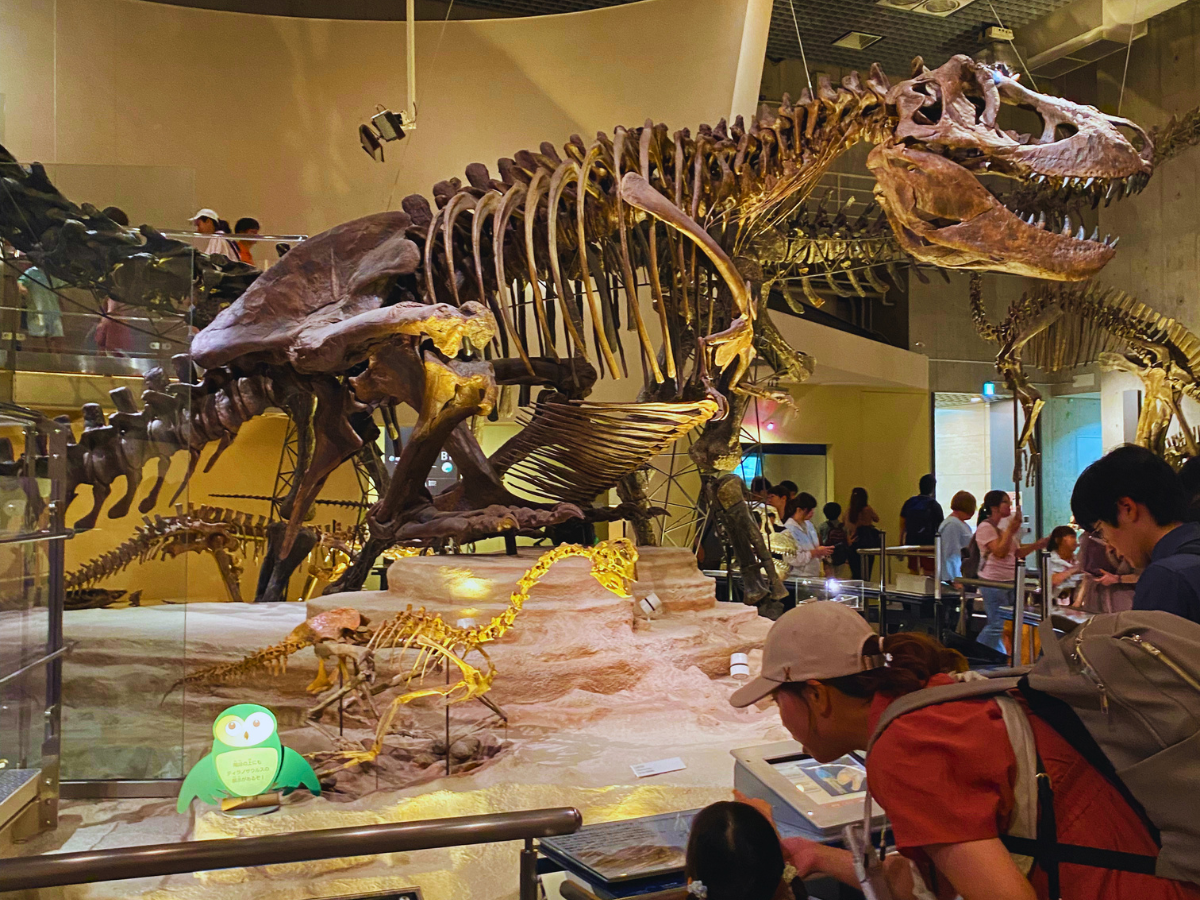 Japan Museums for Kids: 10 Local Picks Worth the Trip Japan Museums for Kids: 10 Local Picks Worth the Trip