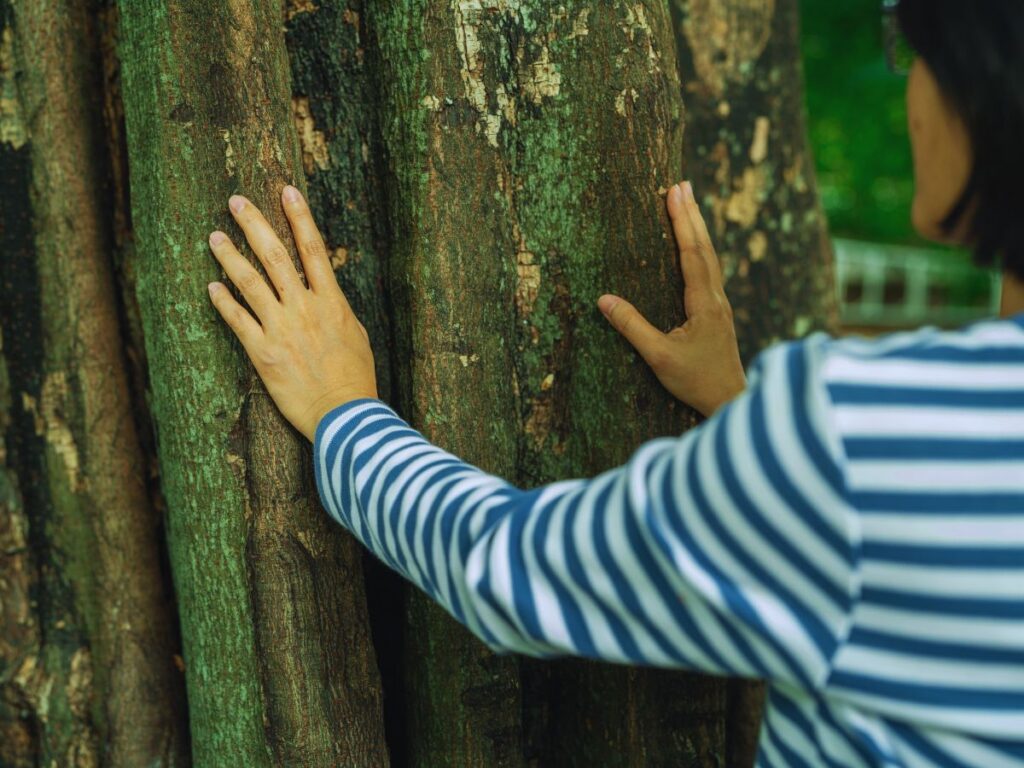 Centuries-Old Wellness Experiences in Japan You Must Try At Least Once