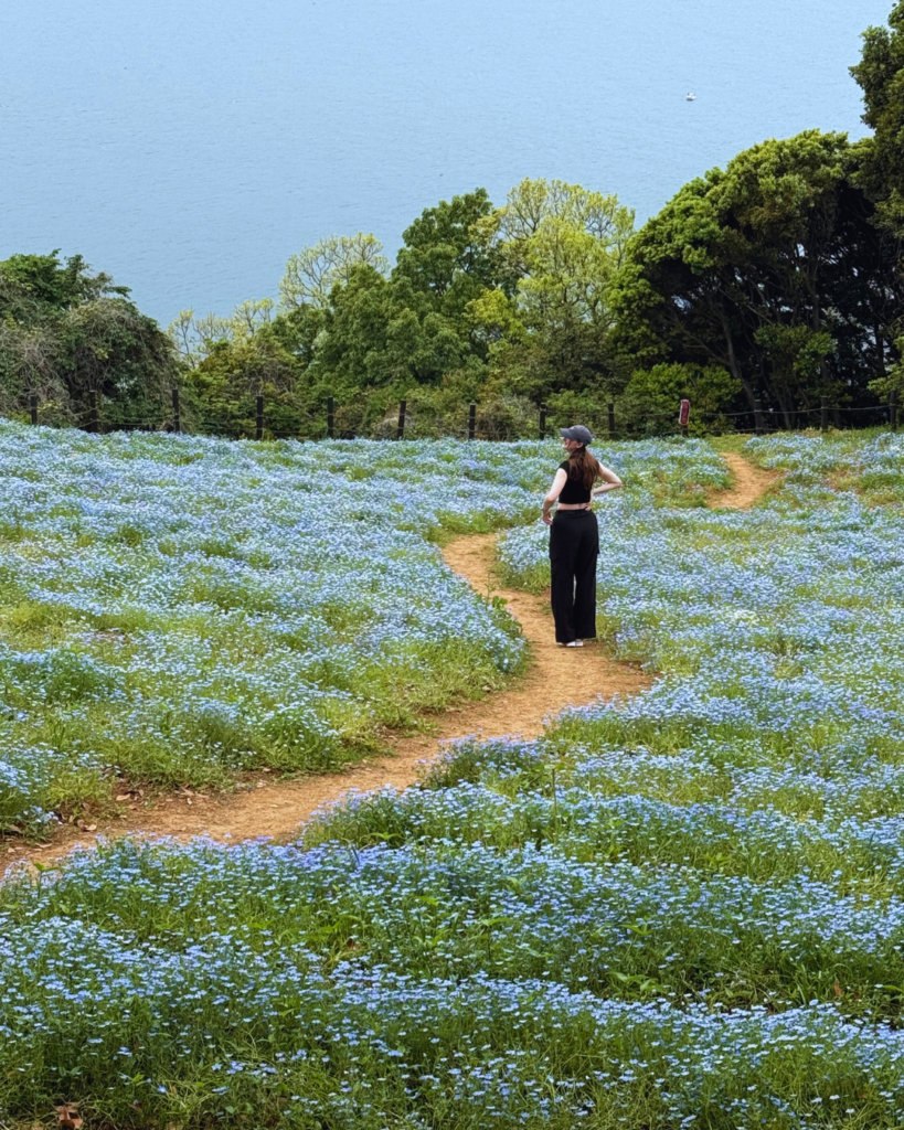 Photo of a girl standing in a blue flower field with a background of the ocean in Nokonoshima Island