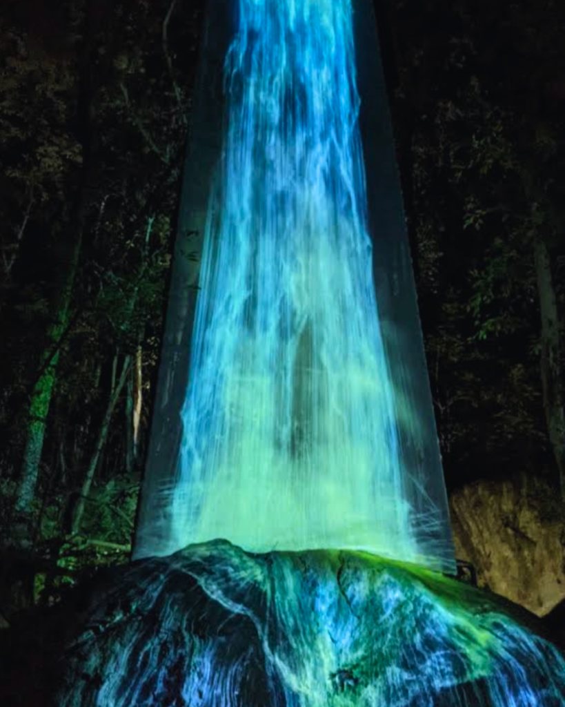 Photo of a teamlab installation at Mifuneyama Rakuen Hotel in Takeo Onsen
