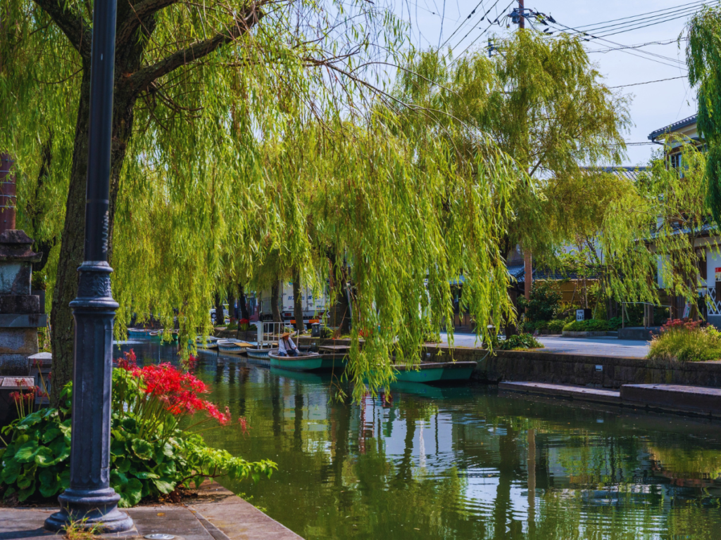 Yanagawa Guide: An Honest Look at Kyushu’s Dreamy Canal Town