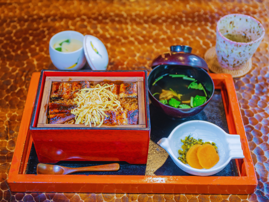 Yanagawa Guide: An Honest Look at Kyushu’s Dreamy Canal Town