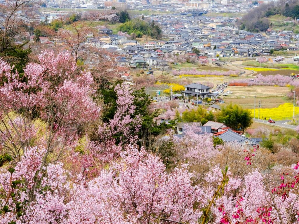 Fukushima Travel Guide and Itinerary