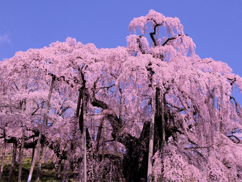 Fukushima Travel Guide and Itinerary