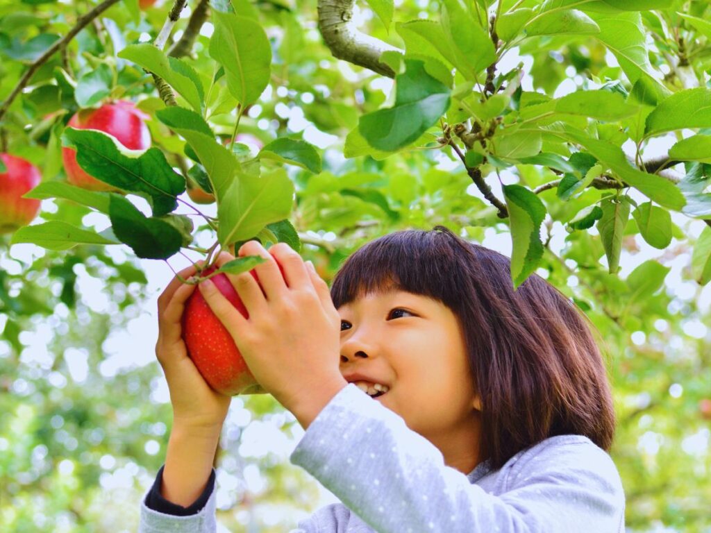 [Fruit Picking] 8 Cultural Kid-Friendly Activities in Japan Your Family Will Remember